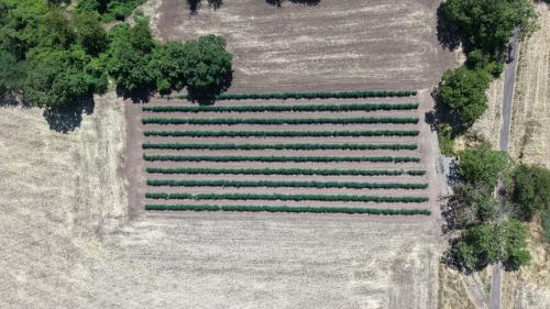 DJI_20260706152723_0011_D.JPG